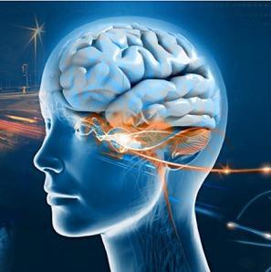 Des hypnothérapeutes passionnées vous accueillent dans notre centre.